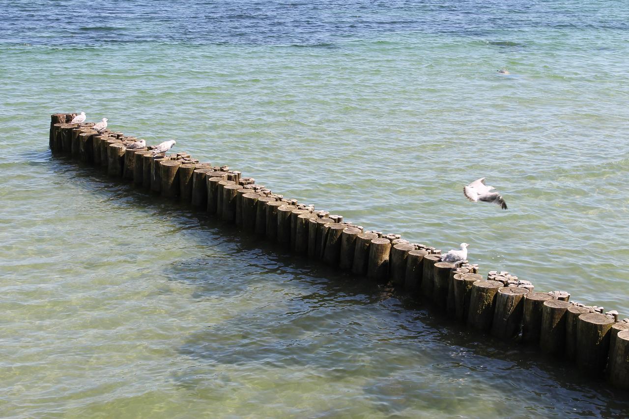 Ostseebad Kühlungsborn Yachthafenresidenz 아파트 외부 사진